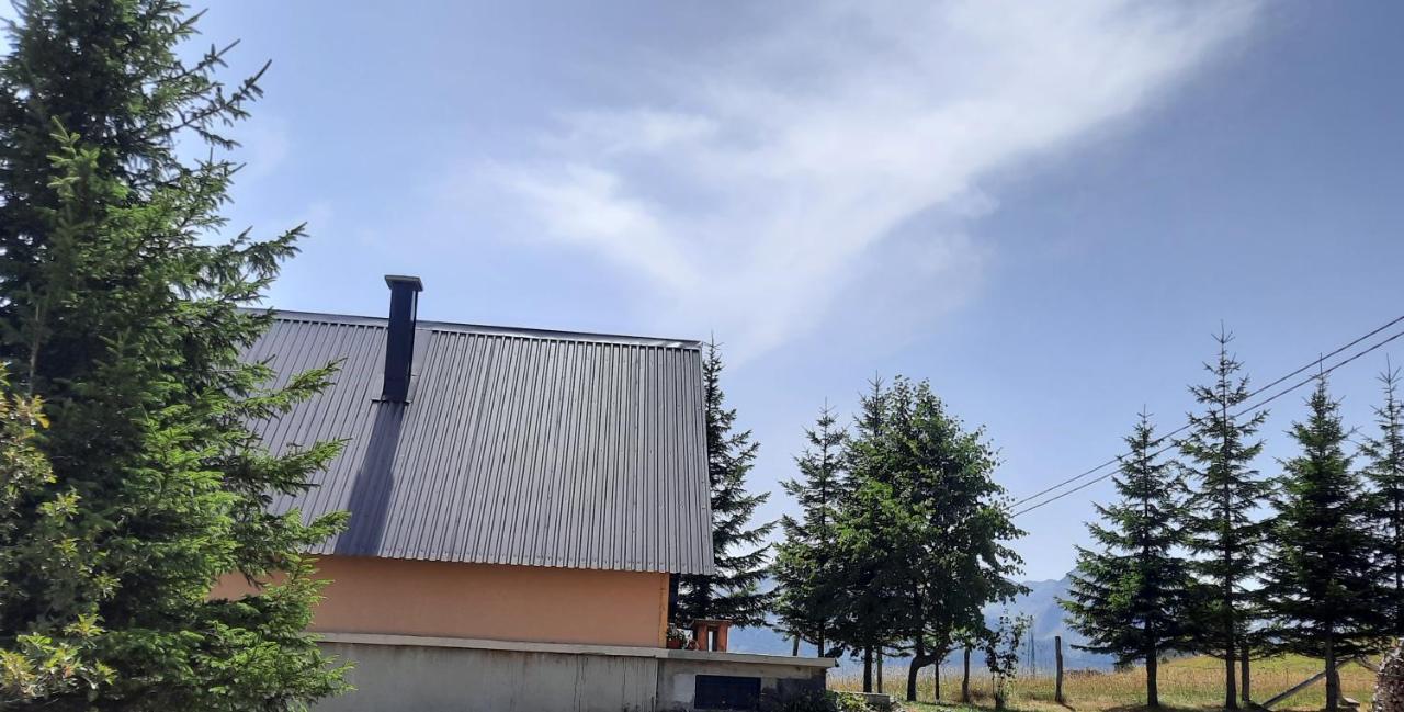 Vila Aleksandar Žabljak エクステリア 写真