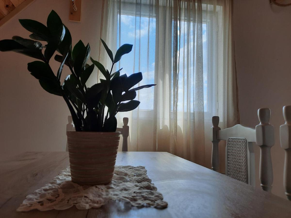 Vila Aleksandar Žabljak エクステリア 写真
