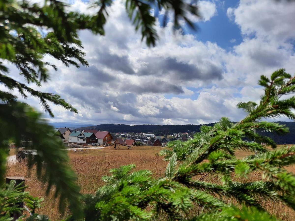 Vila Aleksandar Žabljak エクステリア 写真